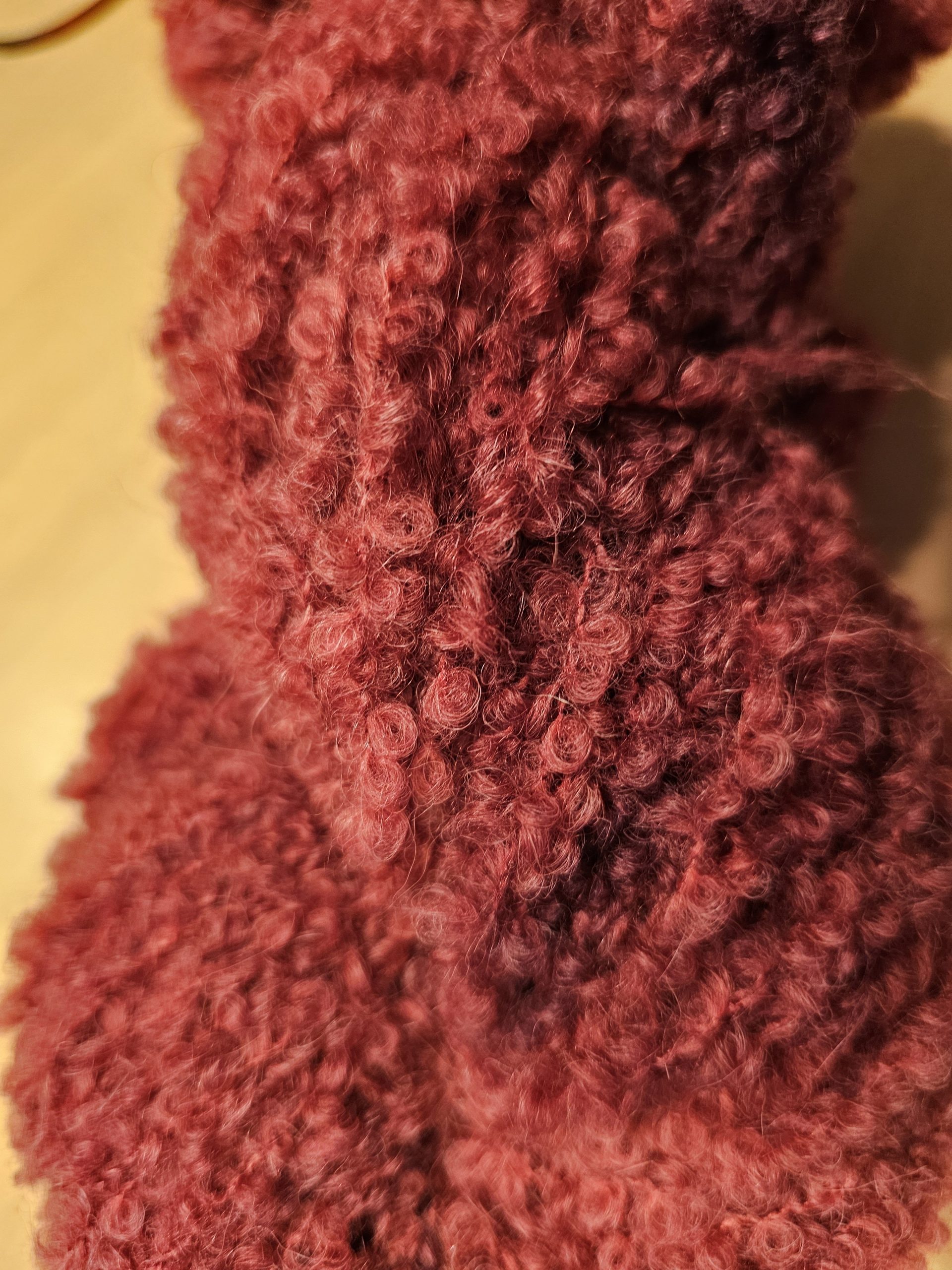Teddy Bouclé – Bild 2